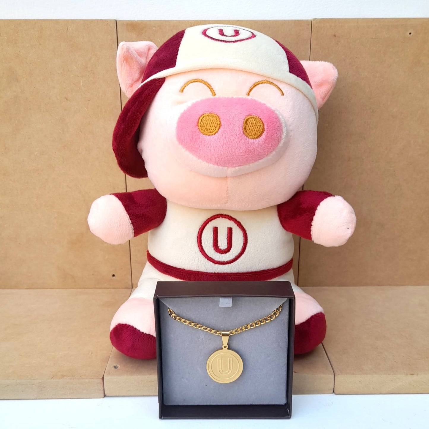 Pack Peluche + Collar Universitario
